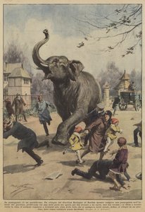 A pachyderm járása
