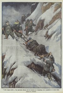 Latin szelíd vér