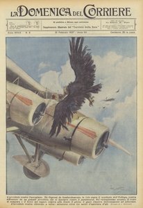 A keselyű a repülőgép ellen alkotó: Achille Beltrame