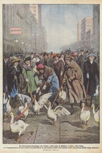 Amerikai extravaganciák, egy Geese Derby, a New York-i Madison Avenue-n, a beiktatásra?