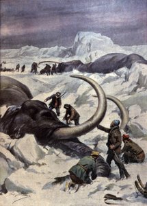 Mamutok az Északi-sarkon alkotó: Achille Beltrame