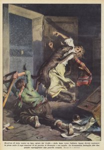 Fél óra farkasharc, akit a hideg és az éhség kerget a falu felé?