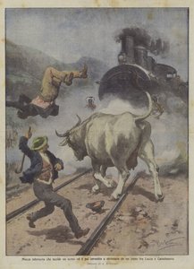 Egy dühös tehén, amely megöl egy embert, majd elütötte és összetörte egy vonat Lucca és Castelnuovo között alkotó: Achille Beltrame