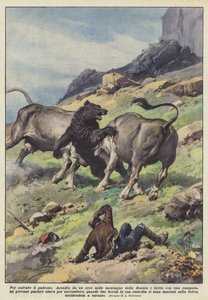 Megmenteni a mestert