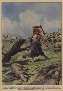 Drámával végződő mesejelenet, egy juhnyájat őrző pásztorlány?