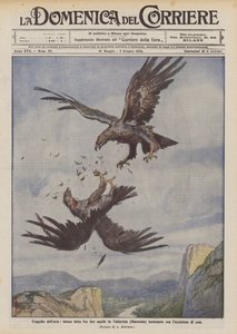 A légi tragédiák, a két sas ádáz harca Valnerinában (Macerata) egy vakító pillantással ért véget. alkotó: Achille Beltrame