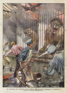 Tűz a vadállatokban a berlini állatkertben (színes litho) alkotó: Achille Beltrame