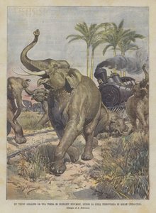 Vad elefántok tömege támadta meg Trencsét az asszámi vasútvonal mentén (Indo-Kína)