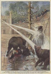 Dráma a berni Medvegödörben