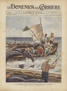 Rendkívüli tonhalhalászat a Tonnara DIsolapianában, Szardínián