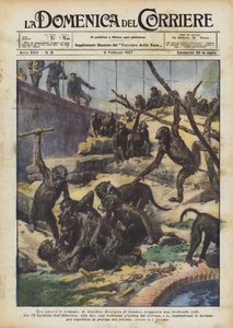 A majmok háborúja alkotó: Achille Beltrame