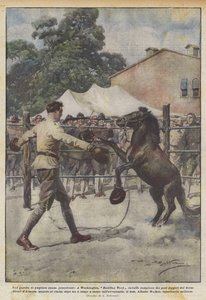 Példátlan bokszmeccs, a washingtoni Battling Tony lósúlybajnoka?
