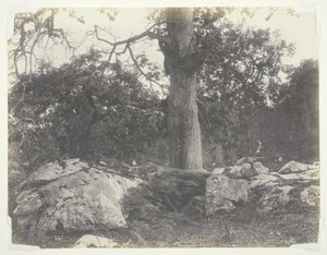 Erdő és sziklák, Fontainebleau alkotó: Achille Quinet