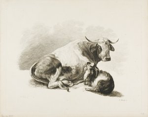 Állati darab