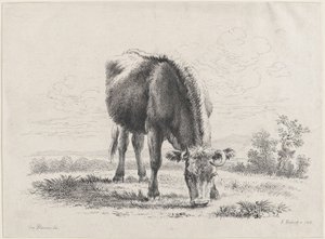 Tehénlegeltetés, 1805., 1805. alkotó: Adam von Bartsch