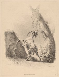 Kecske tájban, 1805. alkotó: Adam von Bartsch
