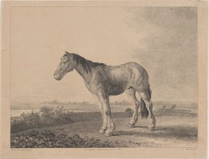 A mezőn álló ló profilban balra, 1809.