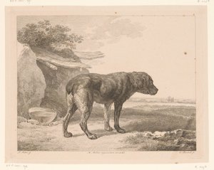Álló kutya a tájon Állatok holland mesterek festményei után (sorozat címe) Différens animaux graves d