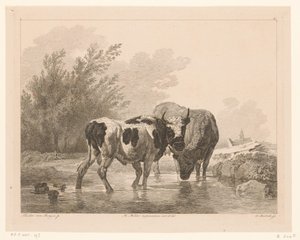 Két tehén egy patakban Állatok holland mesterek festményei után (sorozat címe) Différens animaux graves d