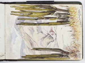 Akvarell vázlatfüzet, rajzok és jegyzetek, Mexikó, 1896-1898 (akvarell) alkotó: Adela Breton