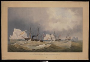 H.M.S. Phoenix és kísérői, a Diligence és a Breadalbane, a jéghegyek között