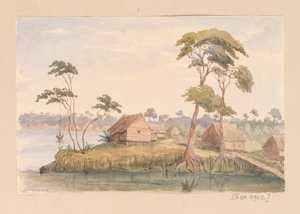 Sarawak a nyugat-indiai, észak-amerikai és borneói albumból alkotó: Admiral Sir Edward Gennys Fanshawe
