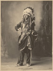 John Hollow Horn Bear, sziú