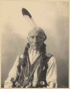 Fehér bölény, Cheyennes