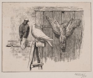 A galambok alkotó: Johan Adolph Kittendorff