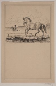A ló a vízben. Nem. 22-én Chr. Winther és M. Rørbye, "25 kép kisgyermekeknek" alkotó: Johan Adolph Kittendorff