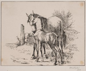 A ló és a csikó alkotó: Johan Adolph Kittendorff