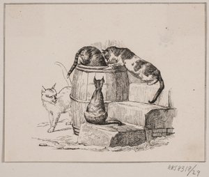 A macskák alkotó: Johan Adolph Kittendorff