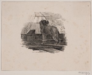Az uszkár kutya alkotó: Johan Adolph Kittendorff