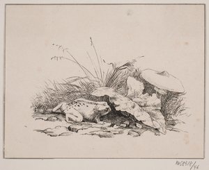 A varangy alkotó: Johan Adolph Kittendorff