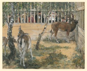 Dámvad a kifutóban. A „Gyerekalbum” című könyvből alkotó: Adolph Menzel