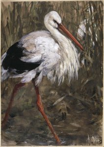A gólya a nádasban. A „Gyermekalbum” című műből alkotó: Adolph Menzel