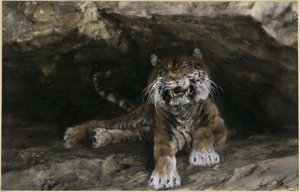 A tigris. A „Gyerekalbum” című kötetből alkotó: Adolph Menzel