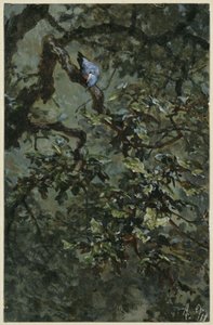 A kék harkály a lombban. A „Gyermekalbumból” alkotó: Adolph Menzel