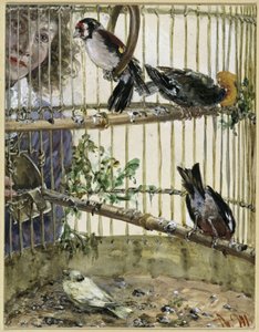 A sárgarigók és a kanári a parasztházban. A „Gyermekalbum” című műből alkotó: Adolph Menzel
