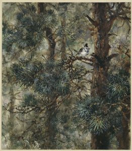 Búbos cinege fenyőágak között. A „Gyermekalbumból“ alkotó: Adolph Menzel