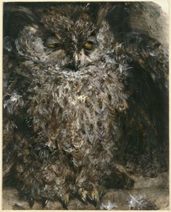 A füleskuvik. A „Gyermekalbumból” alkotó: Adolph Menzel