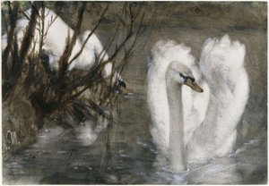 A két hattyú. A „Gyermekalbumból“ alkotó: Adolph Menzel