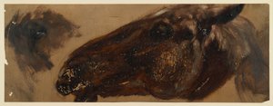 Balra néző lófej, megismételt szemrésszel alkotó: Adolph Menzel
