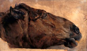 Lótanulmány. Fej jobbra néző profilban alkotó: Adolph Menzel
