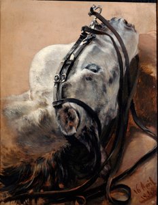 Lóábrázolás. Fekvő fej, hámban alkotó: Adolph Menzel