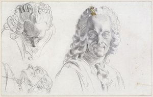 Voltaire-tanulmány alkotó: Adolph Menzel