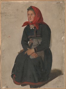 Telemarki parasztasszony alkotó: Adolph Tidemand