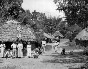Natív kunyhók, Jamaica, 1905.