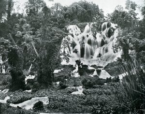 Roaring River Falls, Jamaica, 1905. alkotó: Adolphe Duperly and Son