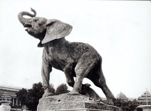 Emmanuel Fremiet (1824-1910) a fiatal elefántot csapdába ejtette (1878) a Trocadero-palota előtt, amelyet az egyetemes kiállításra építettek (1878), Párizs, 1888 alkotó: Adolphe Giraudon